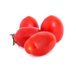 עגבניה שרי תמר
